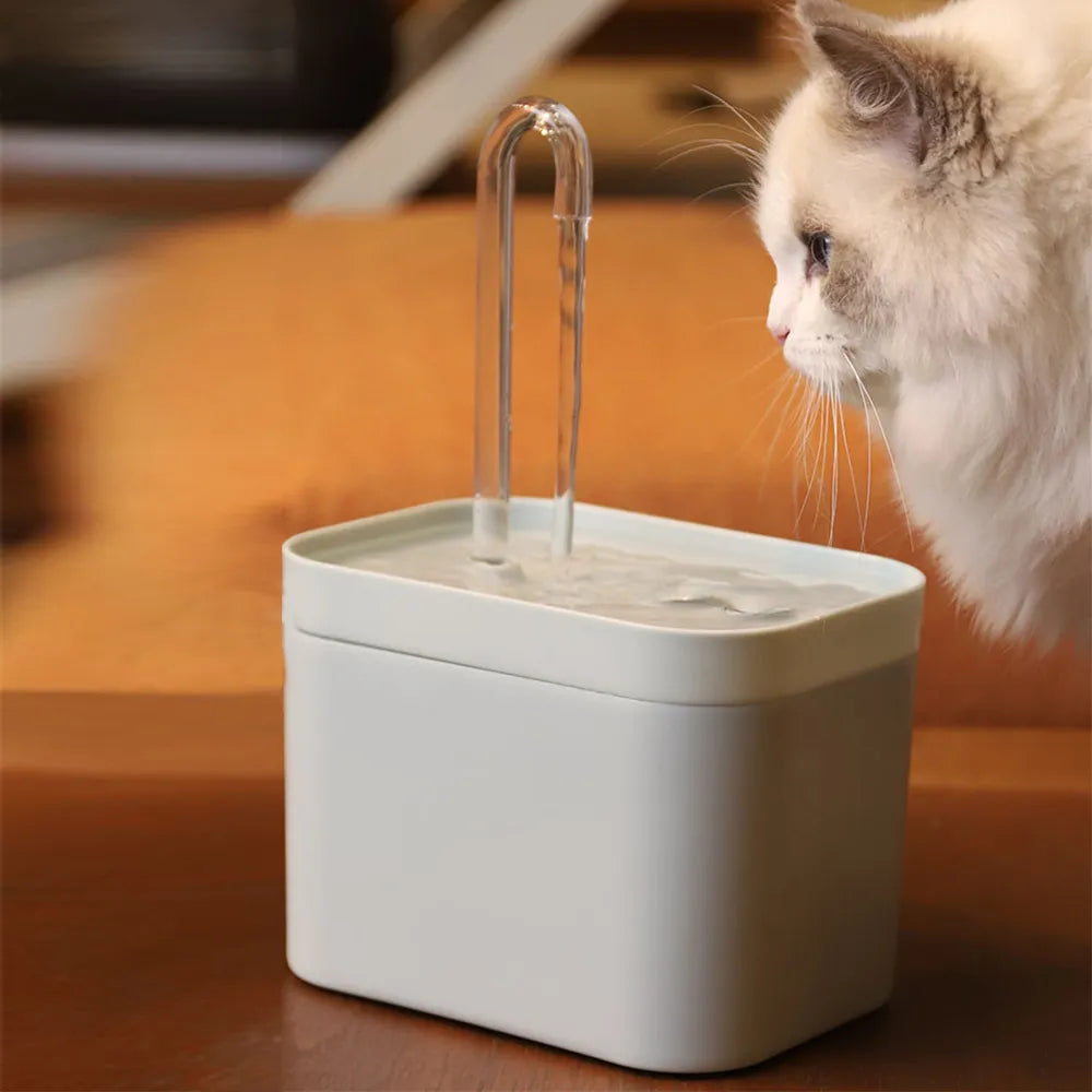 Filtre de fontaine à eau ultra-silencieux pour animaux de compagnie, distributeur d'eau automatique intelligent pour chien, pompe de prévention de l'épuisement.